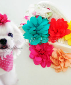 Laços Para Cachorros