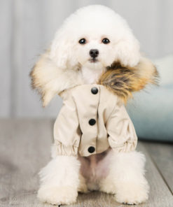 jaqueta de inverno com pêlos para cachorro