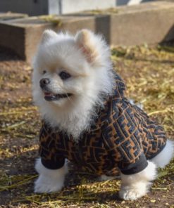 Roupas para Cachorro Macho