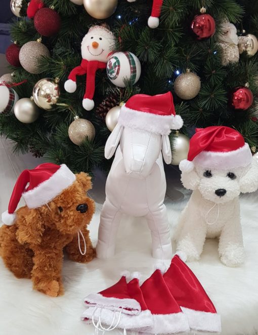 Gorro de Natal para Cachorro